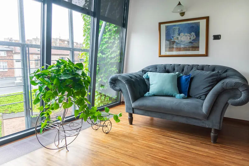 Sofa beside large windows and plants — Deluxe Apartment, Hornigold